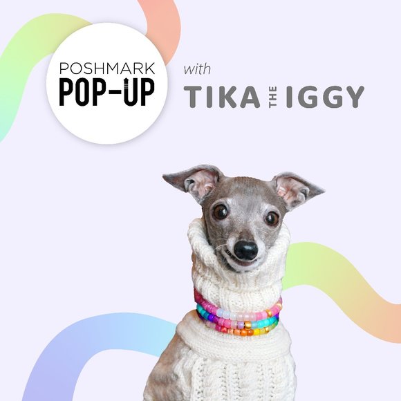 Other - Tika the Iggy’s pop-up is HERE!